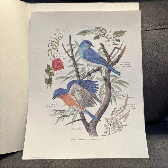Vintage Arthur Singer Bird Prints Set Of 8 - Picture 4 of 13